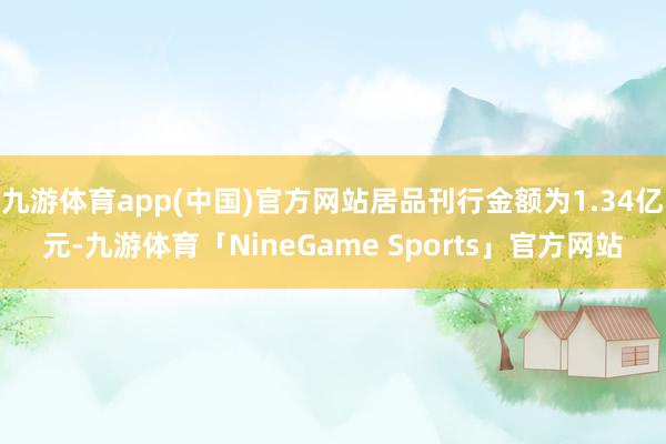 九游体育app(中国)官方网站居品刊行金额为1.34亿元-九游体育「NineGame Sports」官方网站