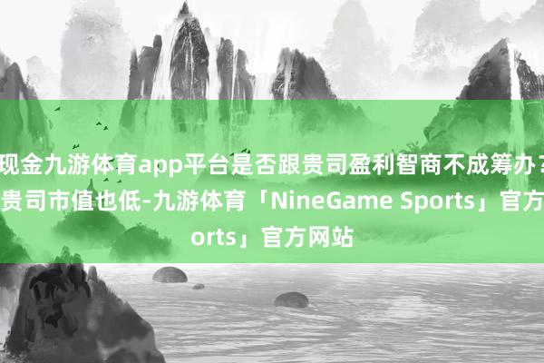 现金九游体育app平台是否跟贵司盈利智商不成筹办？况兼贵司市值也低-九游体育「NineGame Sports」官方网站